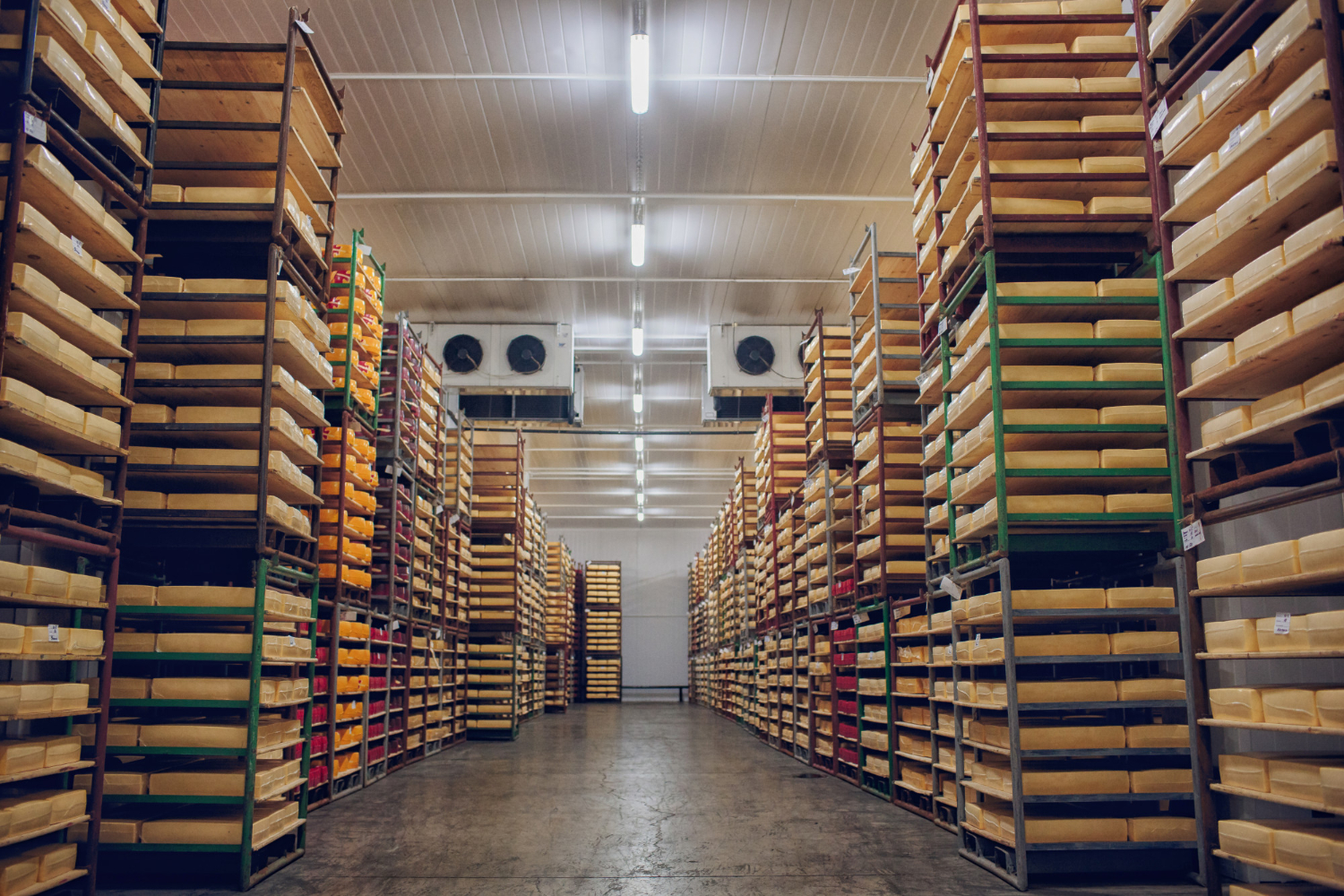 Cyprus Storage
